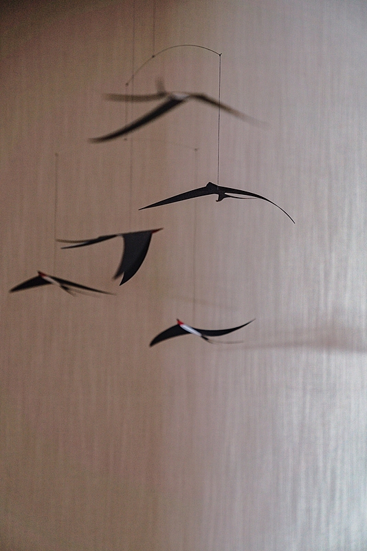 壹阁设计 X 作『CONCESSIONS 』