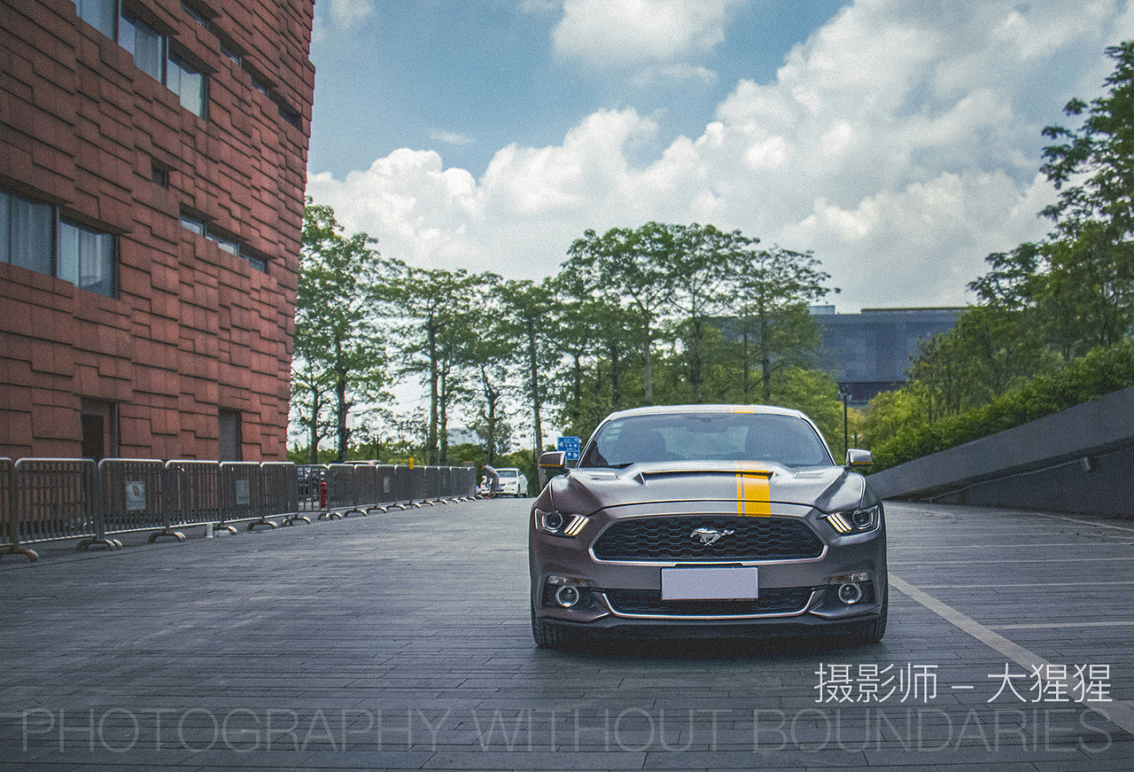 Ford Mustang 福特野马/汽车摄影/改装/拉花/修图调色