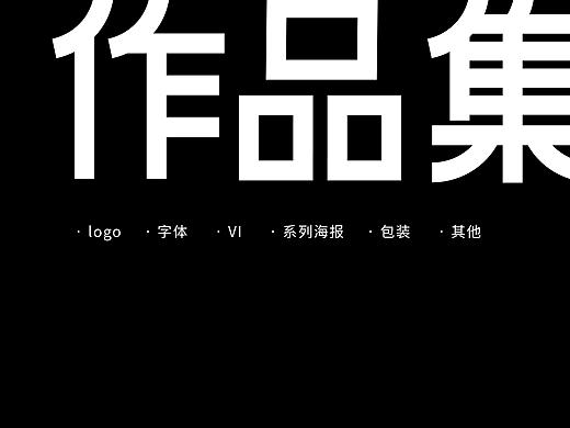 2019作品集logo字体VI海报包装其他