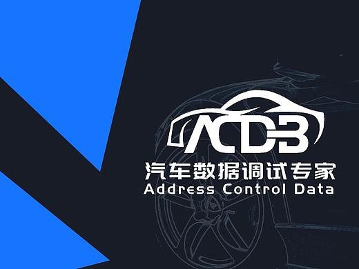 PC端界面UI设计_ACD汽车调试专家