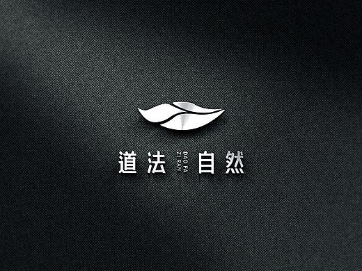 贵州省长顺县道法自然品牌设计