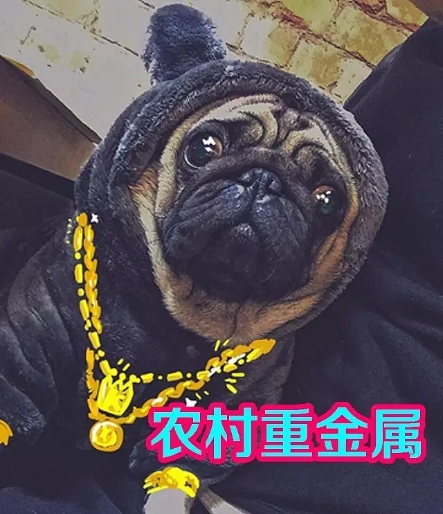 1钛合金24k系列 别让我待太久,我怕控制不了洪荒之力 我看见了kmt