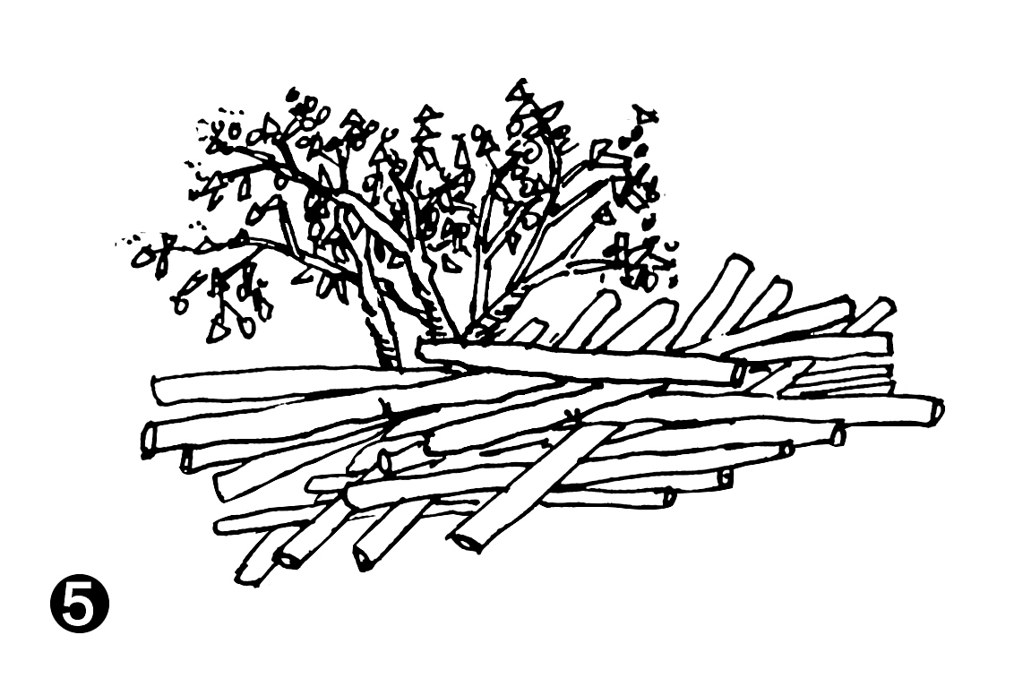 跟着步骤画一堆木头，就是这么简单，5分钟画好（图ZMTkwNjc2OTQw） - 绘画 - 站酷设计师陈红军原创素材 - 站酷ZCOOL