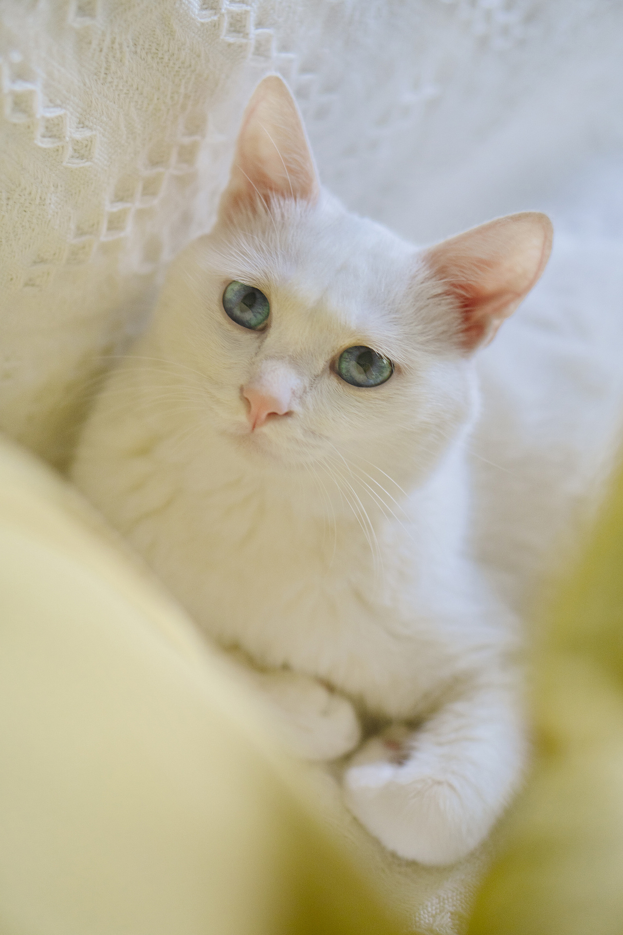 小白的周末时光