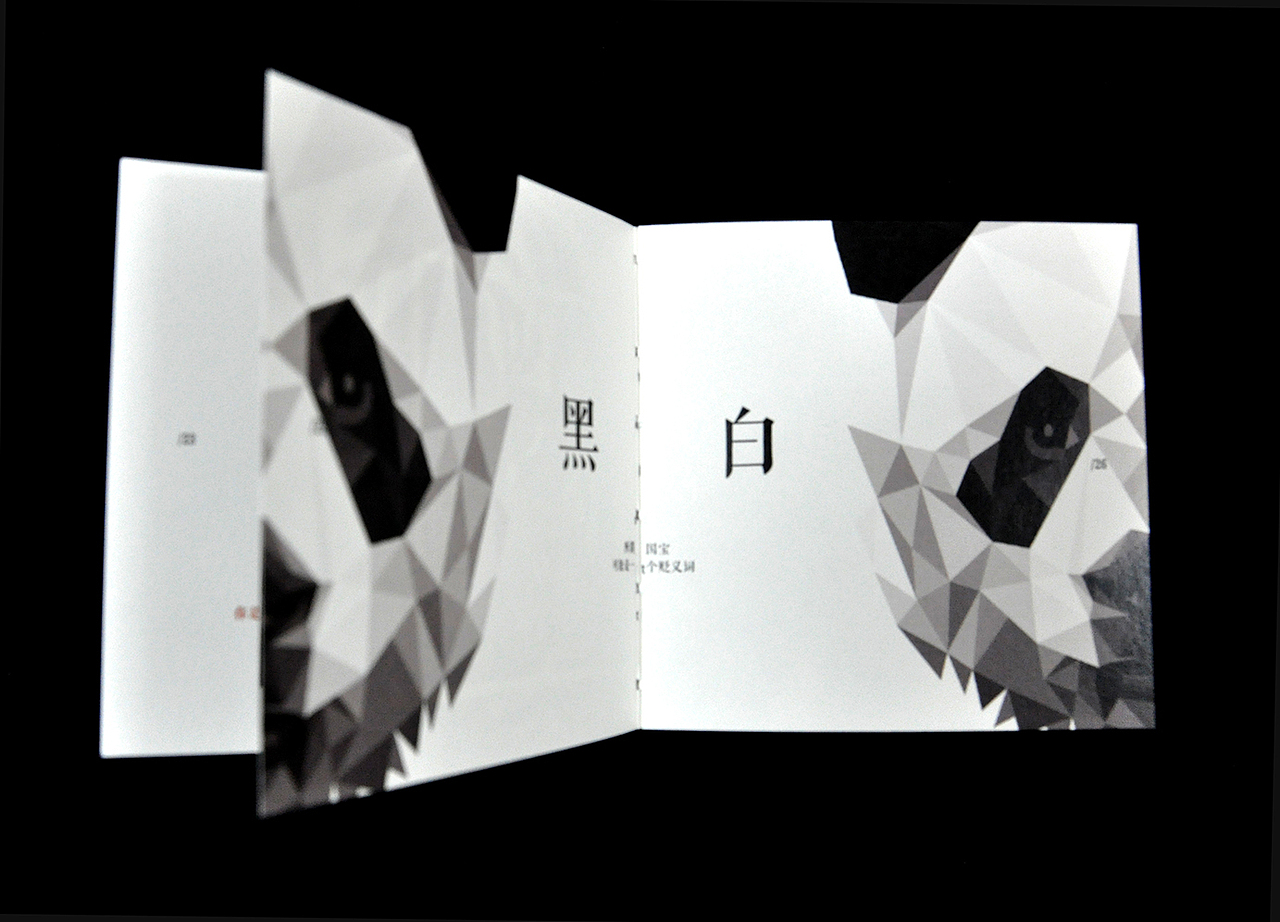 #青春答卷2016#(图ZNTExMTM2NzI=) - 书籍/画册 - 站酷设计师除圆原创素材 - 站酷ZCOOL