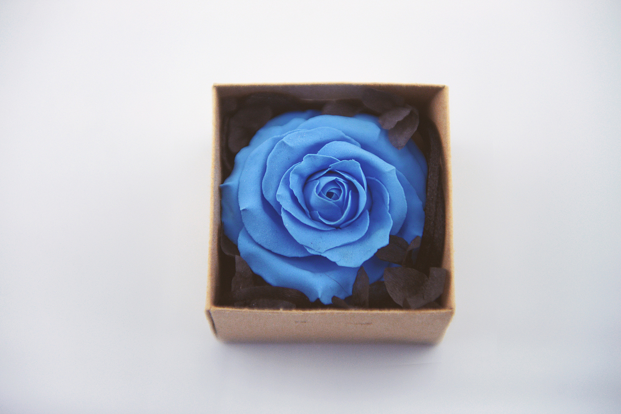 超轻粘土——玫瑰花