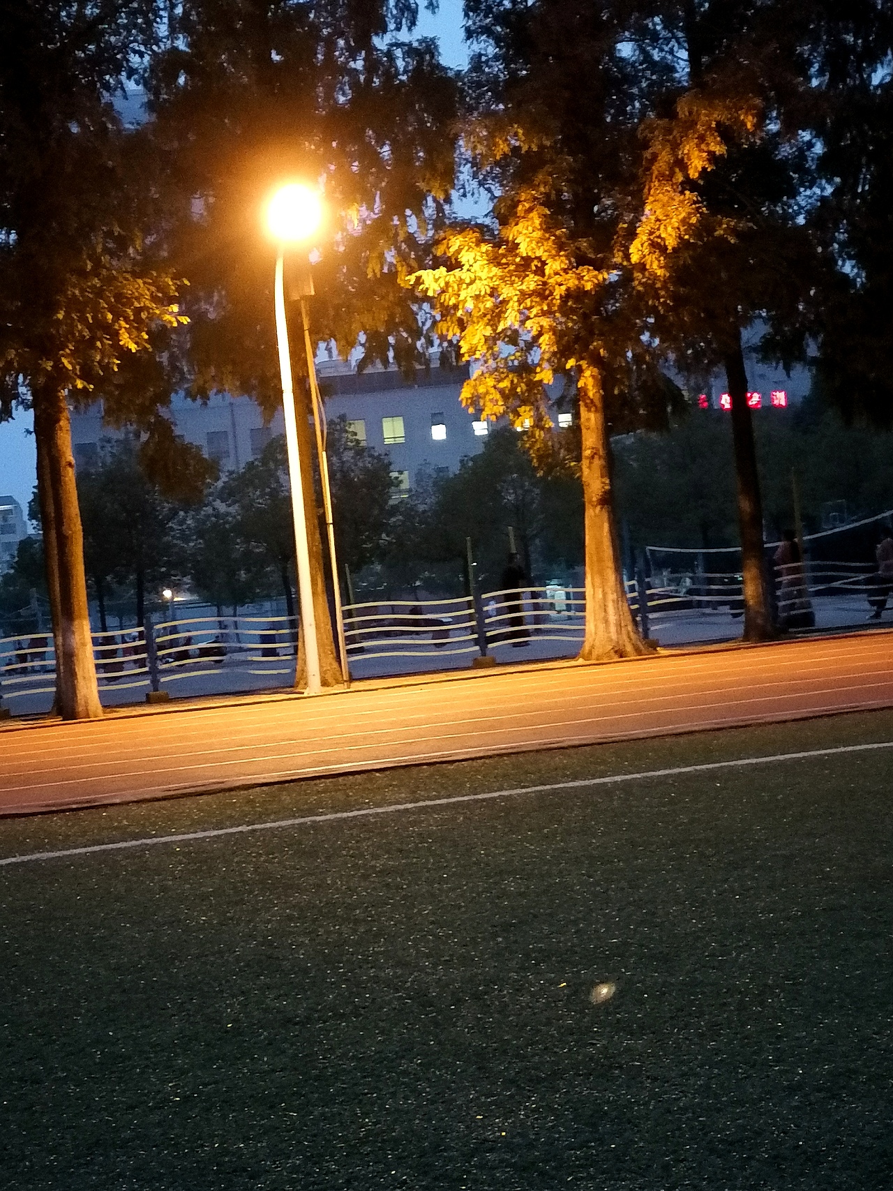 是灯下的暖暖啊?