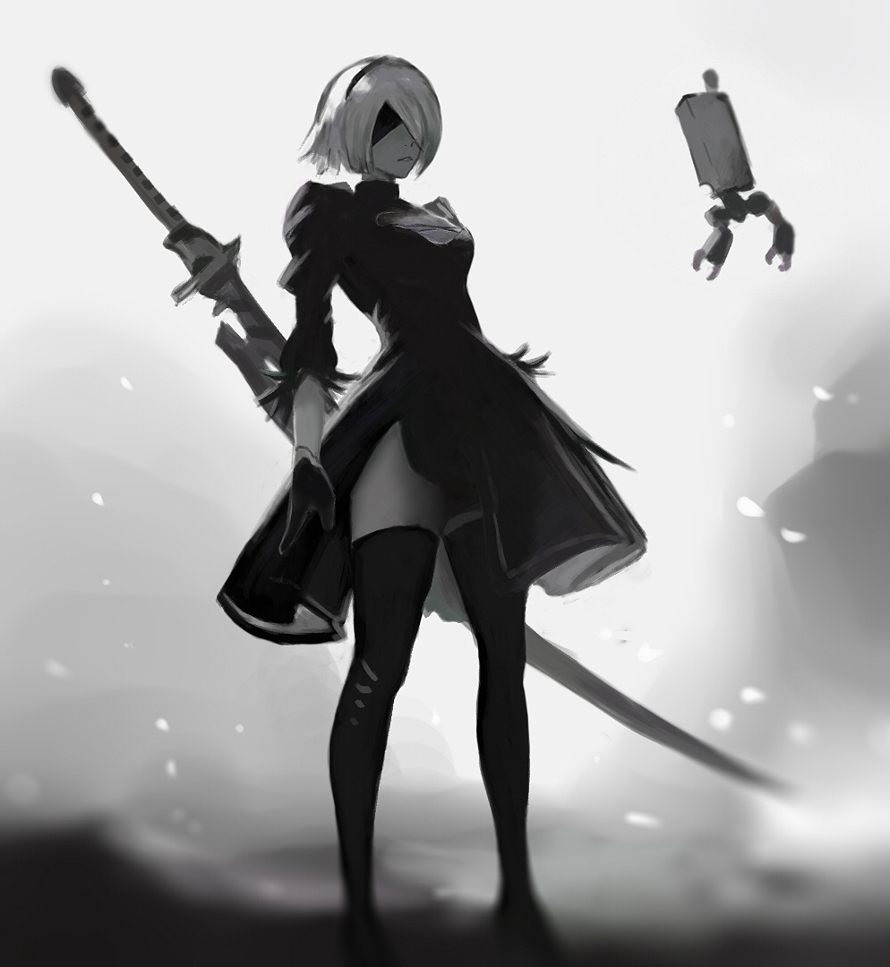 尼尔机械纪元——2b小姐姐  