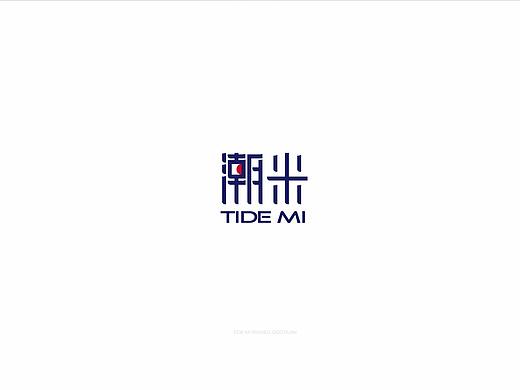 潮米Tide Mi - 品牌形象设计