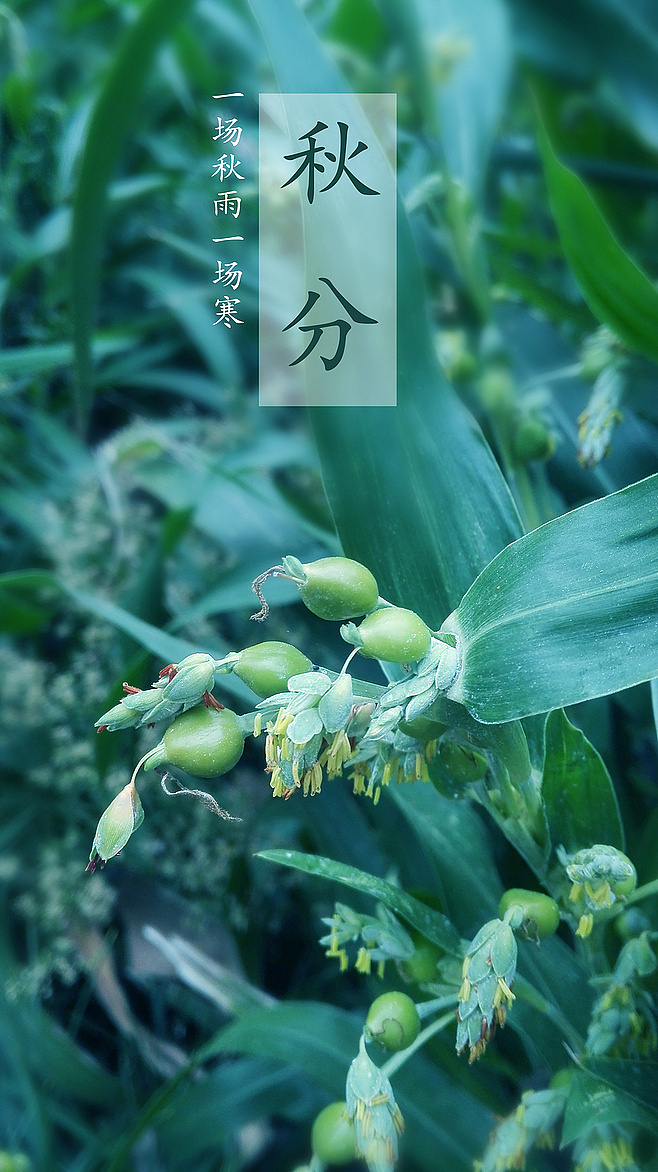 随拍（图ZNTMzMzM1Mjg=） - 风光摄影 - 站酷设计师堂堂3567原创素材 - 站酷ZCOOL