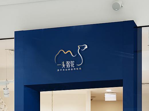 一头骆驼丨驼奶品牌VI及包装
