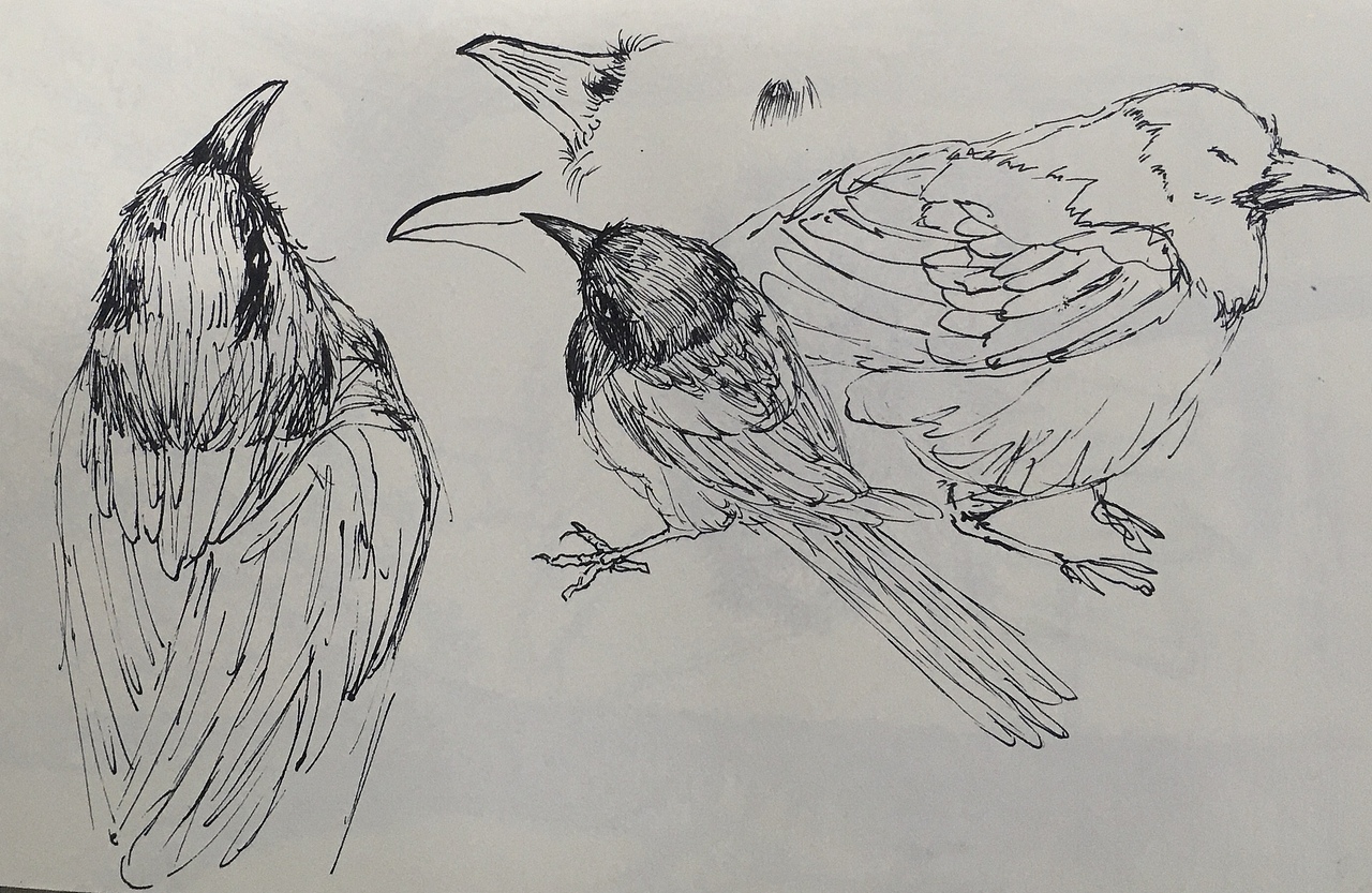 2022年4月25～5月1日