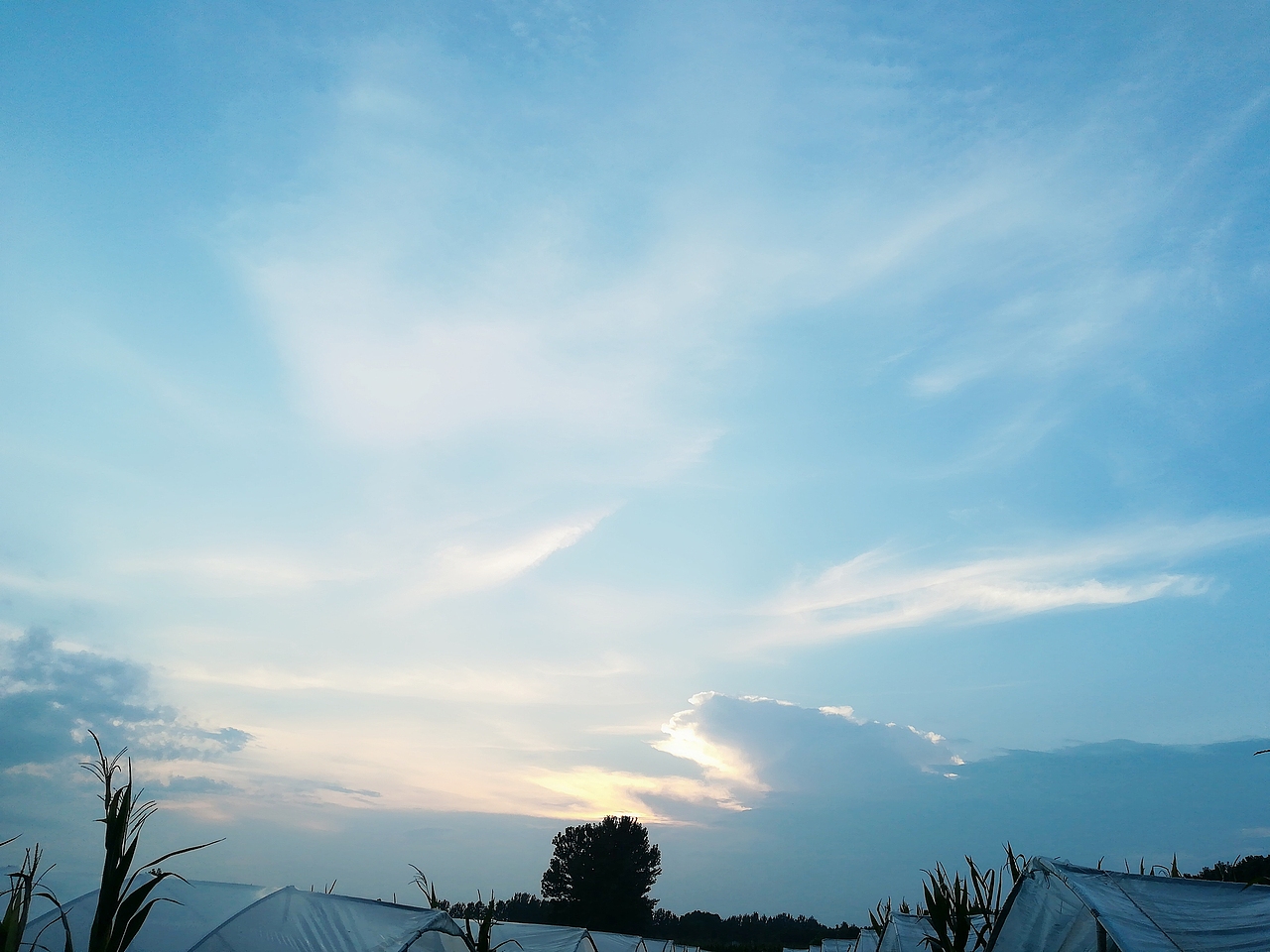 家乡，夏天的味道（图ZMTI0MjIxODA0） - 风光摄影 - 站酷设计师大影子儿原创素材 - 站酷ZCOOL