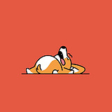 徐昂的头像