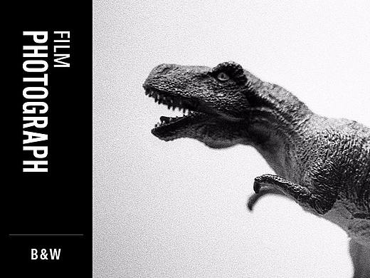 自冲自扫第一卷B&W