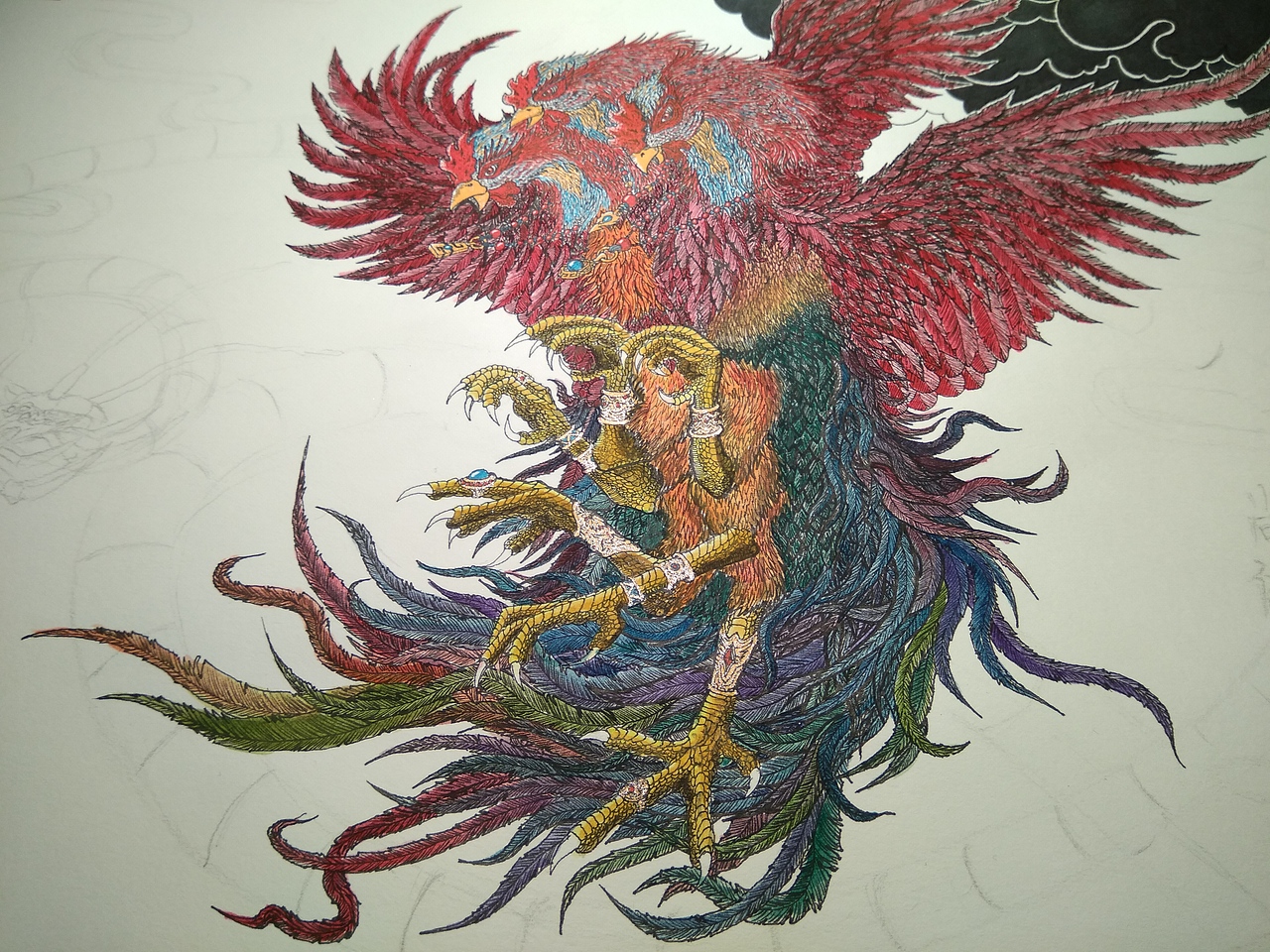 20191122山海经南山经尚鸟付鸟