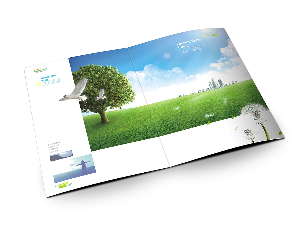天人果汁集团画册