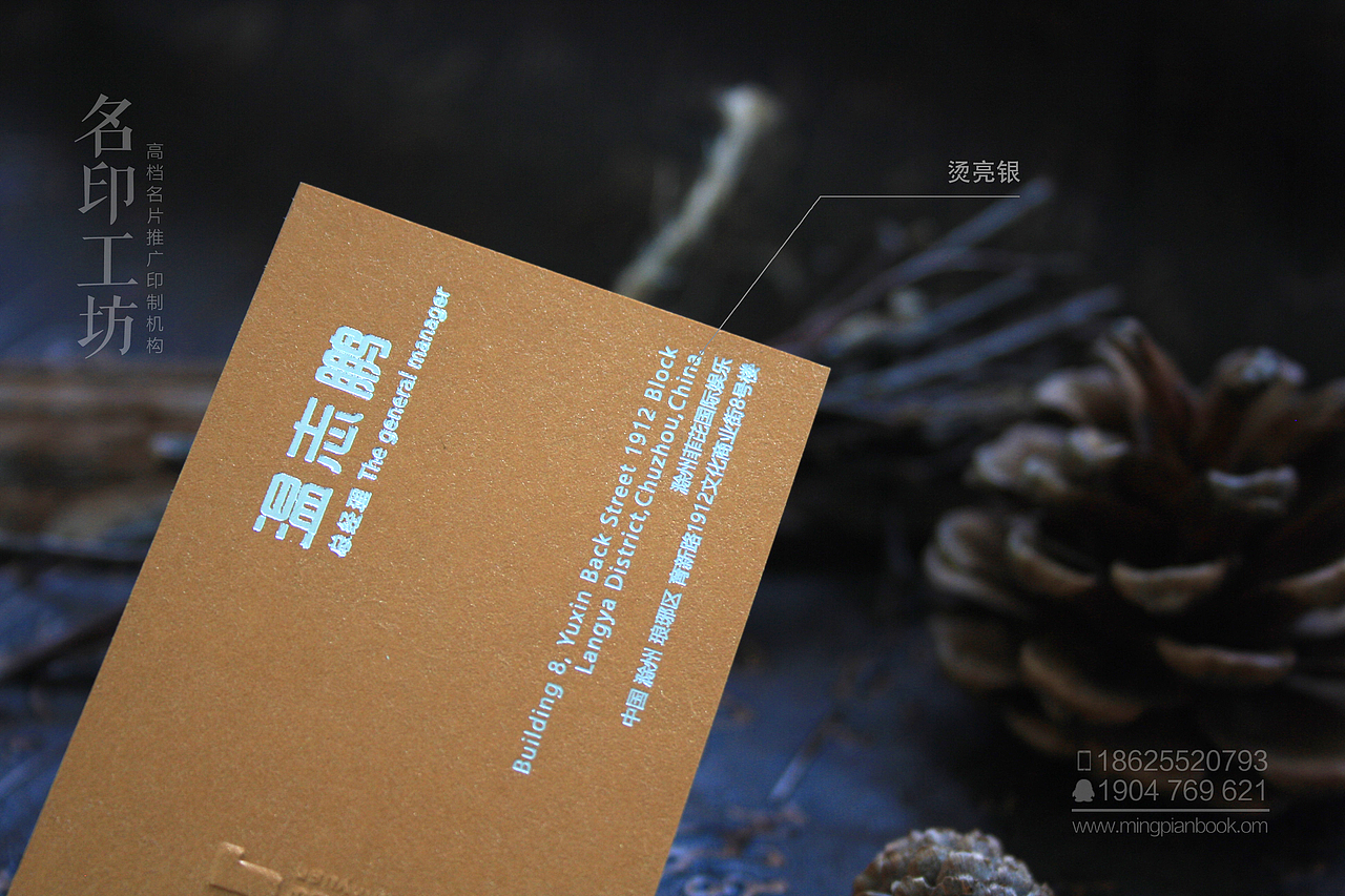 【原创新品佳作】珠光色卡系列之烫各色金工艺名片欣赏（图ZNTI1NTYzMzY=） - 宣传物料 - 站酷设计师小骑士原创素材 - 站酷ZCOOL