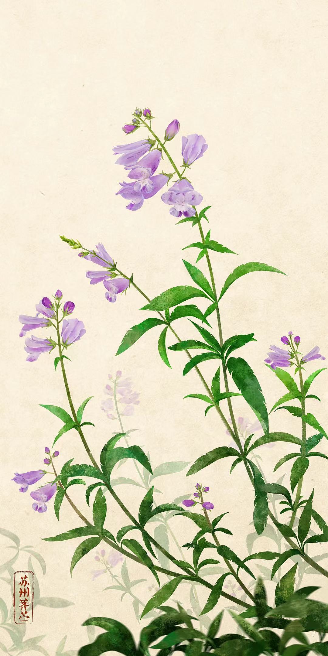 苏州四季野花（图ZMjczMDU4Nzgw） - 商业插画 - 站酷设计师伟大的春山君原创素材 - 站酷ZCOOL