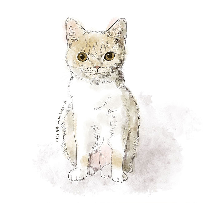 画了10只猫(图ZMTgzOTQ1NTQ0) - 艺术插画 - 站酷设计师Tusan了了原创素材 - 站酷ZCOOL