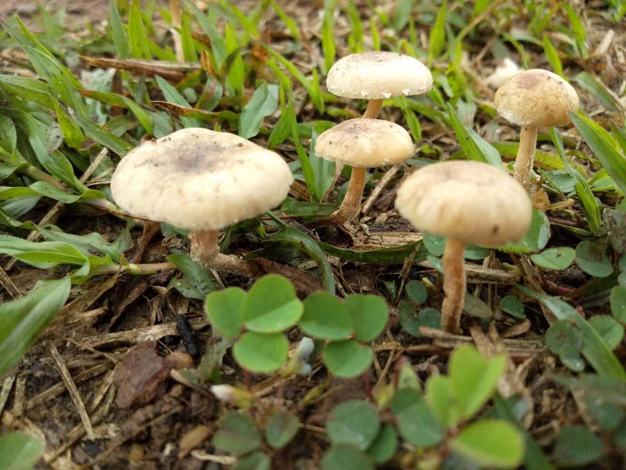 关於菇|摄影|风光摄影|魔菇婆婆 - 原创作品 - 站酷 (zcool)