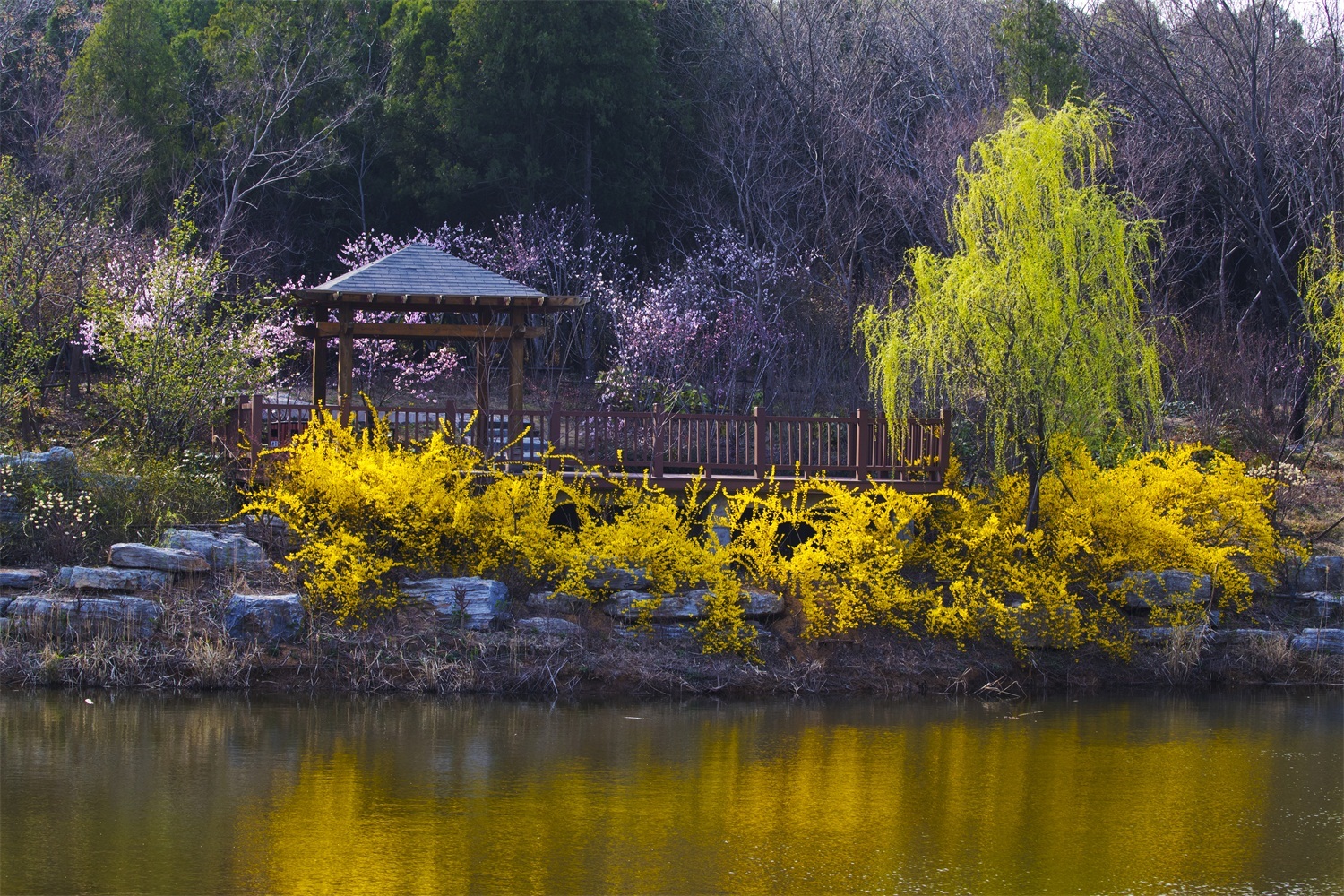 宿迁三台山国家森林公园美图