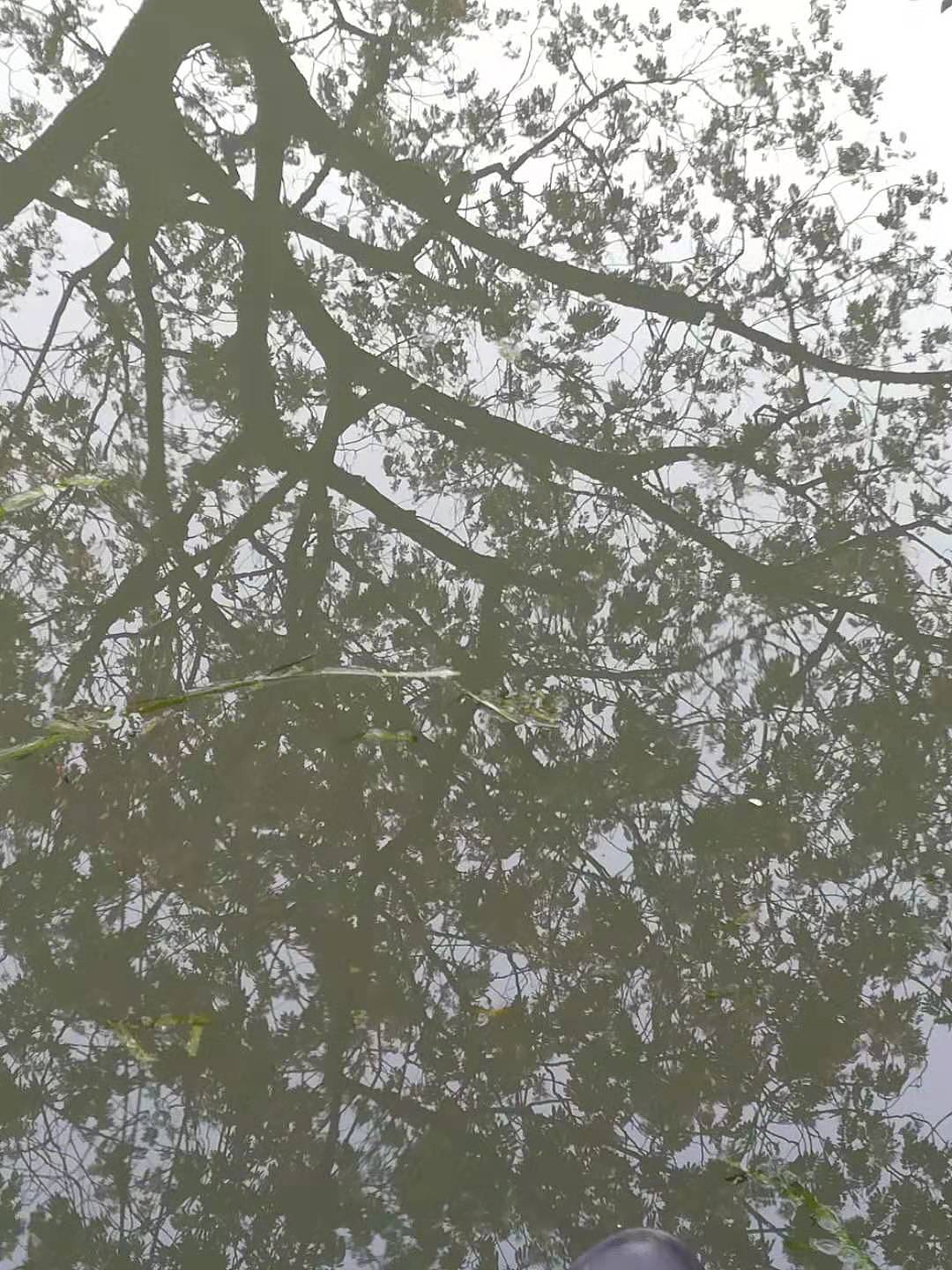 美丽的瞬间，天空风景