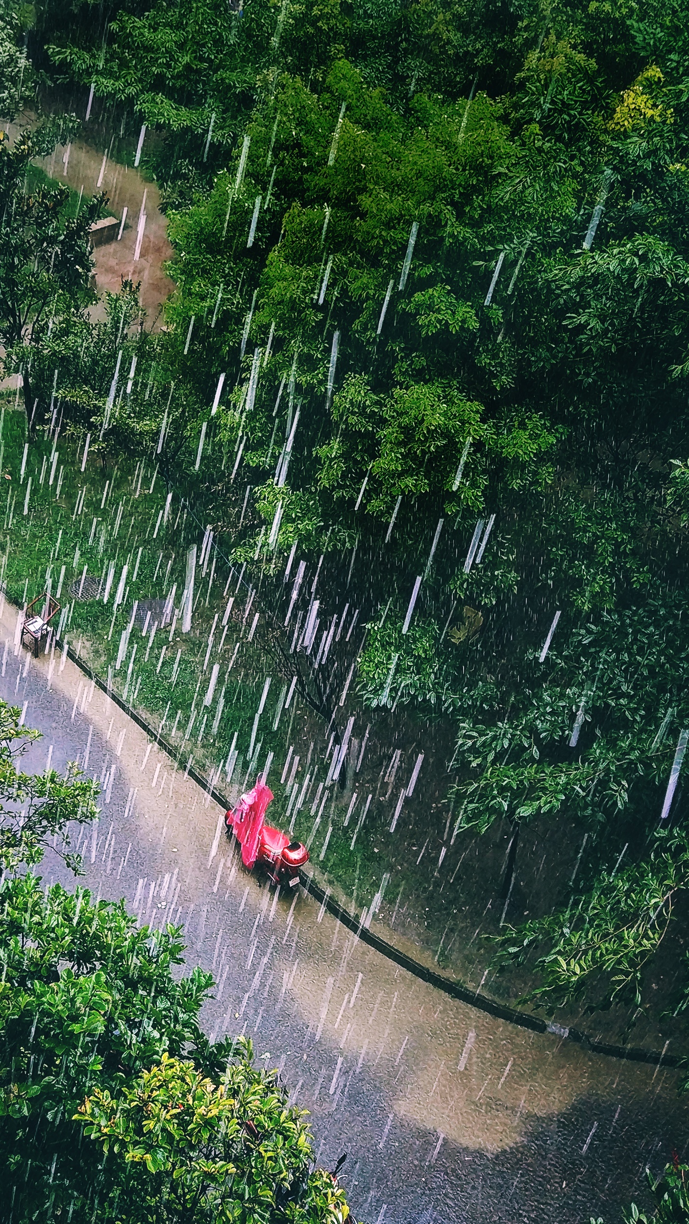 阿楞雨天图片