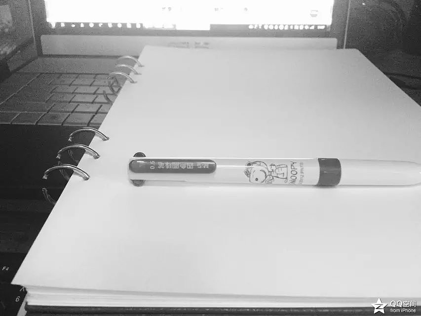 《Water And Flowers》纯圆珠笔画步骤（图ZMjg0NDk2NjQ=） - 绘画 - 站酷设计师Y_Lovely原创素材 - 站酷ZCOOL