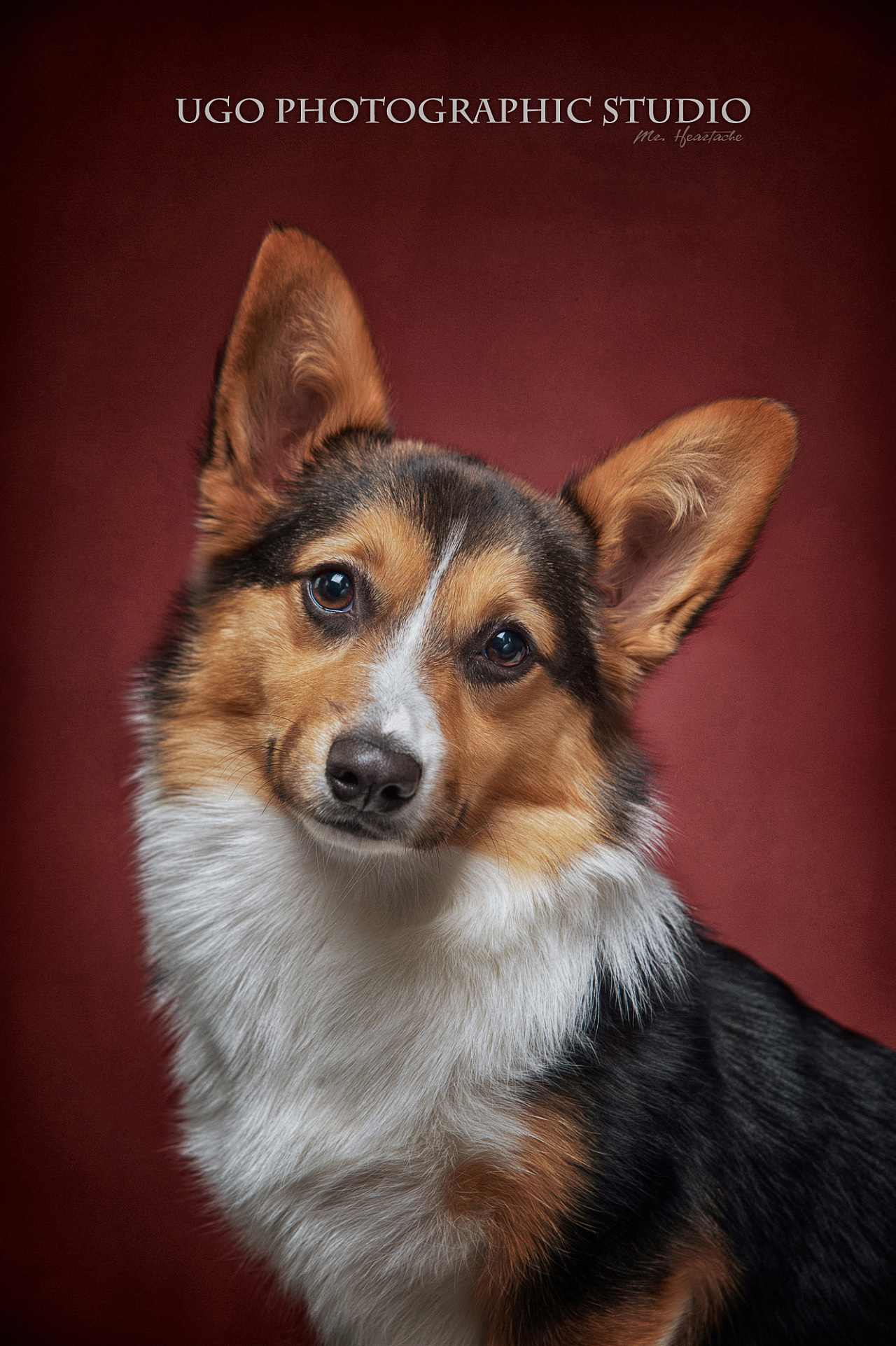 1280_1923竖版 竖屏