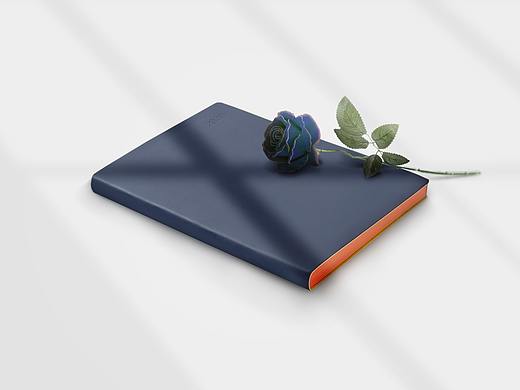 光影系列（个人主页-ZNDY3Mzk5MjA=） - 品牌 - 站酷设计师猫又CatY原创素材 - 站酷ZCOOL