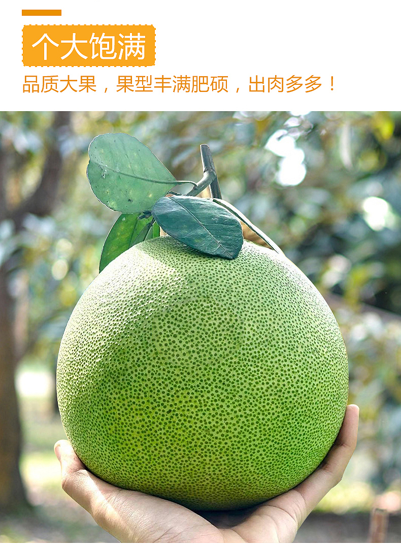 泰国青皮红心柚