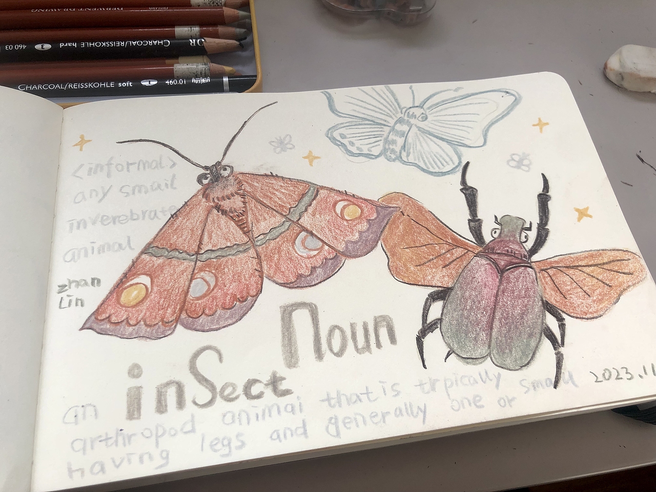 昆虫大集合2023年11月