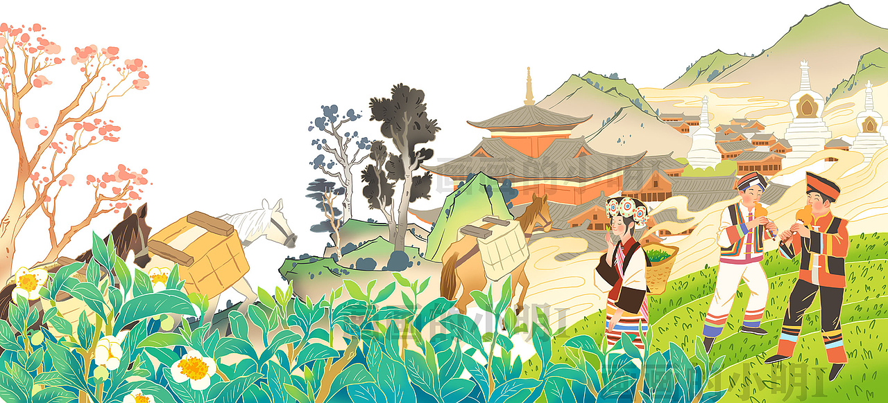 云南老马帮——“马上有茶”包装插画