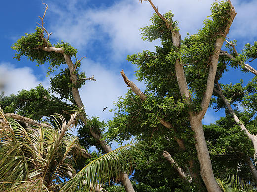 照片（個(gè)人主頁(yè)-ZNDExNjY3Mjg=） - 風(fēng)光攝影 - 站酷設(shè)計(jì)師sipac_原創(chuàng)素材 - 站酷ZCOOL