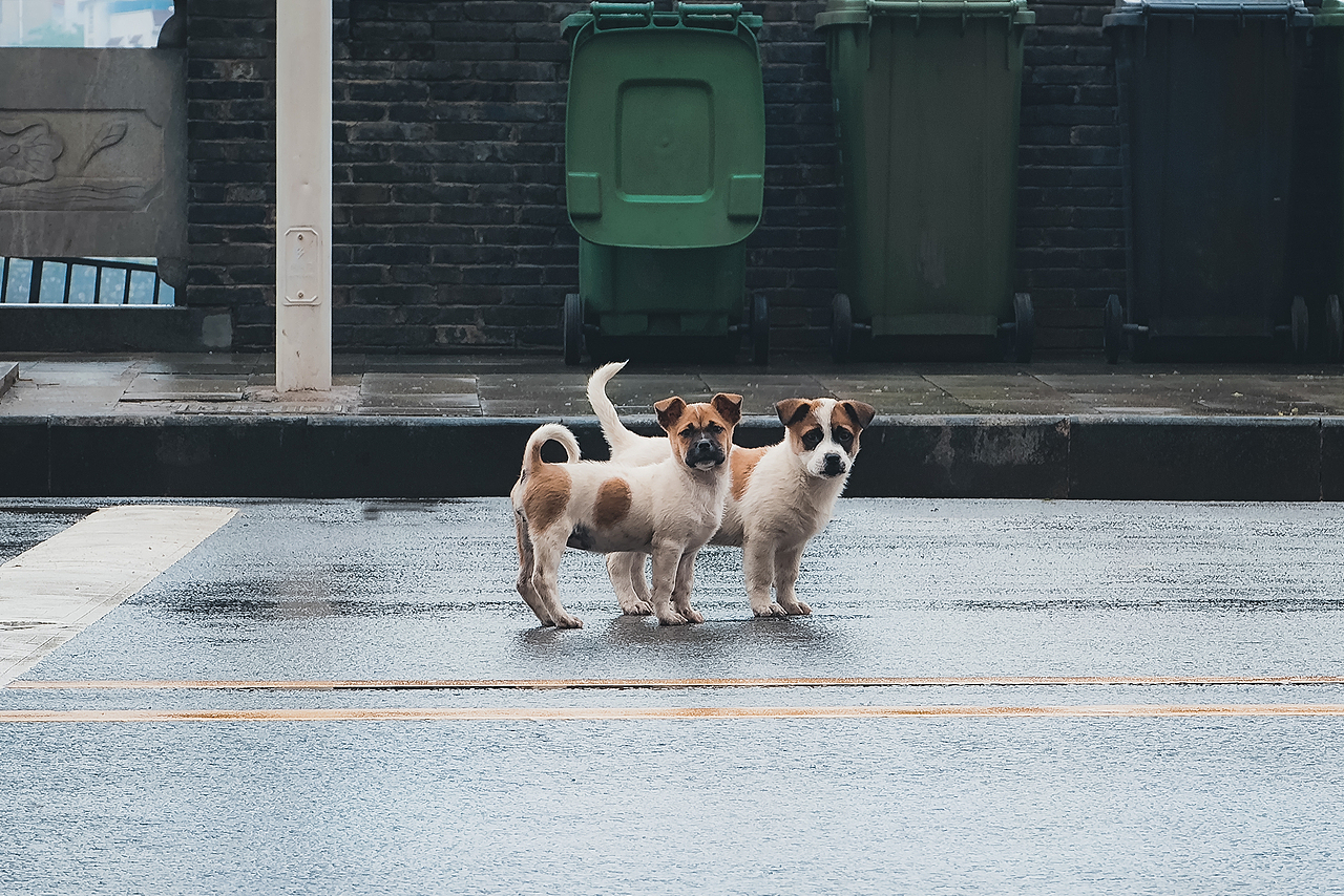 每天坚持拍张照