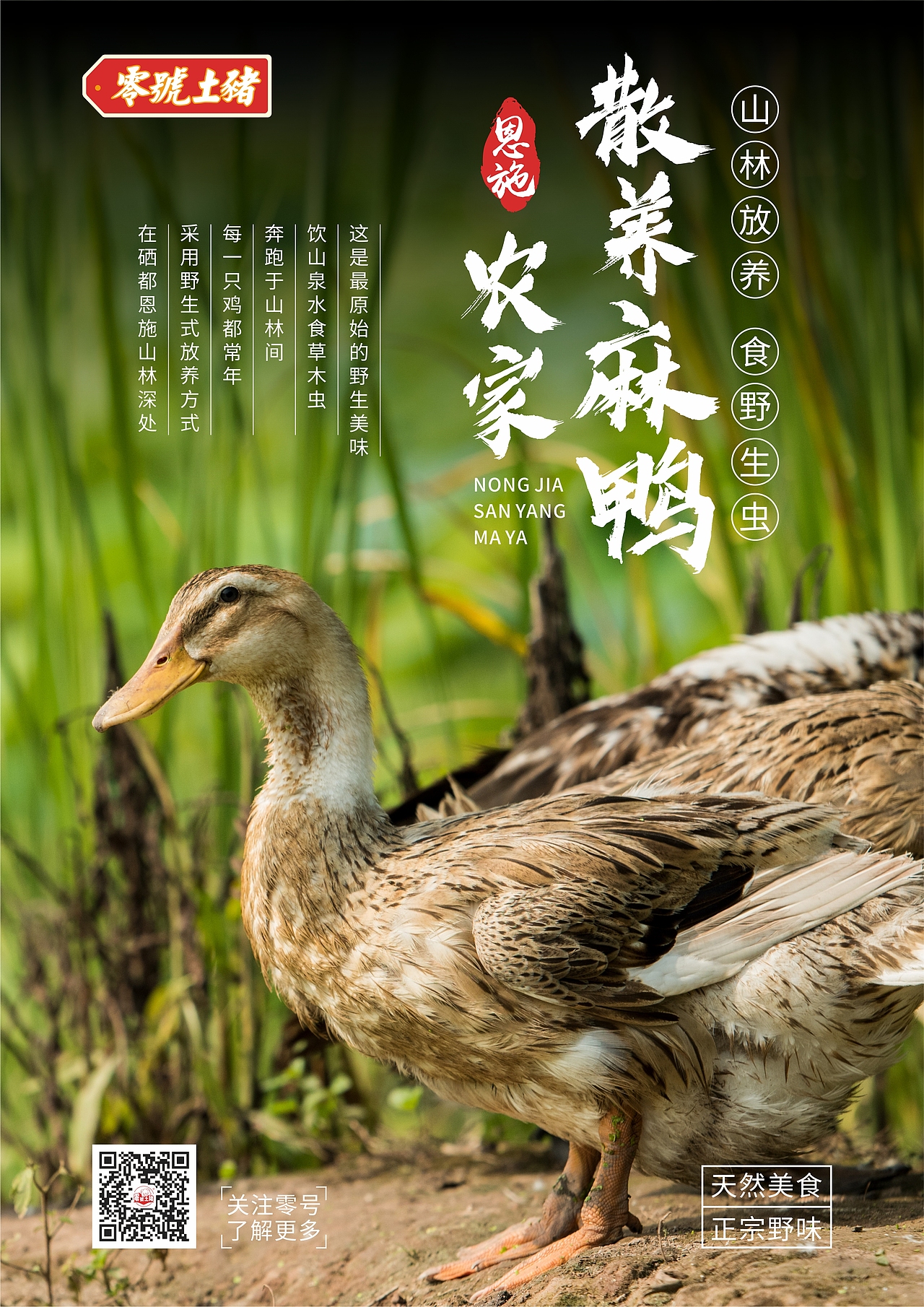 产品海报设计（图ZMjg1NDAzNDI0） - 海报 - 站酷设计师小瓶盖20原创素材 - 站酷ZCOOL