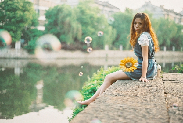 向日葵对蔷薇说