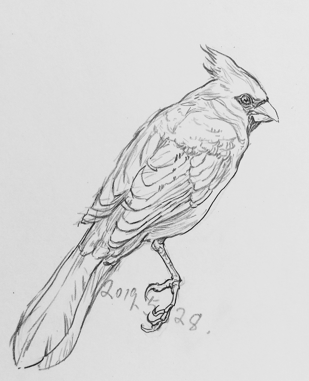 18 19 20 三年作品总结（图ZMjc5MjMxMzUy） - 创作习作 - 站酷设计师李安朔原创素材 - 站酷ZCOOL