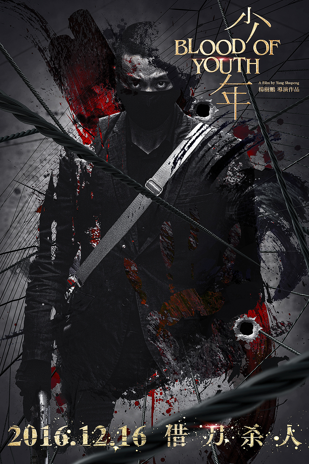 1216电影少年多媒体海报