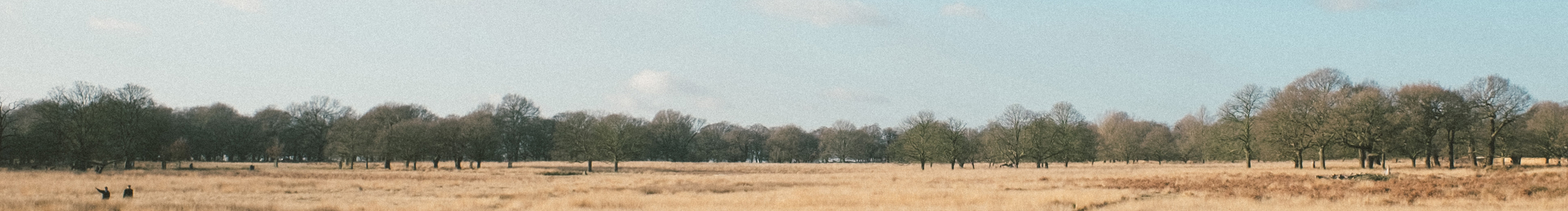 catnn的个人主页（封面预览） - 主页封面设置 - 站酷设计师catnn原创素材 - 站酷ZCOOL