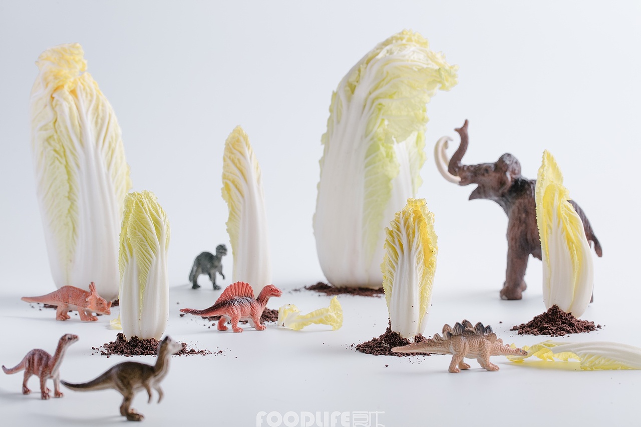 微观摄影-火锅食材-创意商业拍摄（图ZMTAxMTg0NzE2） - 产品摄影 - 站酷设计师食术原创素材 - 站酷ZCOOL