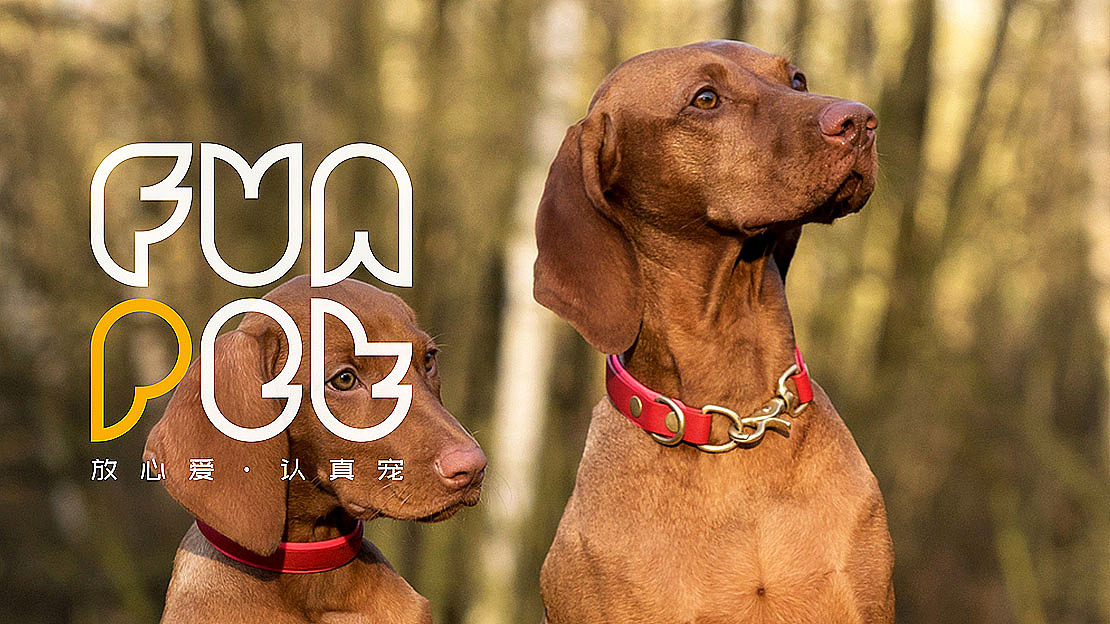 宠物 logo设计（图ZMTk3NjMyNTI0） - Logo - 站酷设计师logo绘所原创素材 - 站酷ZCOOL