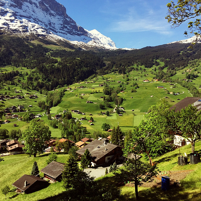 早上起来又拍了个