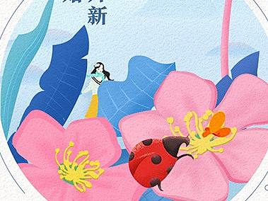 节气微海报（个人主页-ZMjczNzM0MTY=） - 商业插画 - 站酷设计师15029147526原创素材 - 站酷ZCOOL