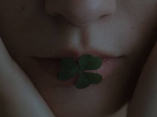 近况，转行后极少拍照了