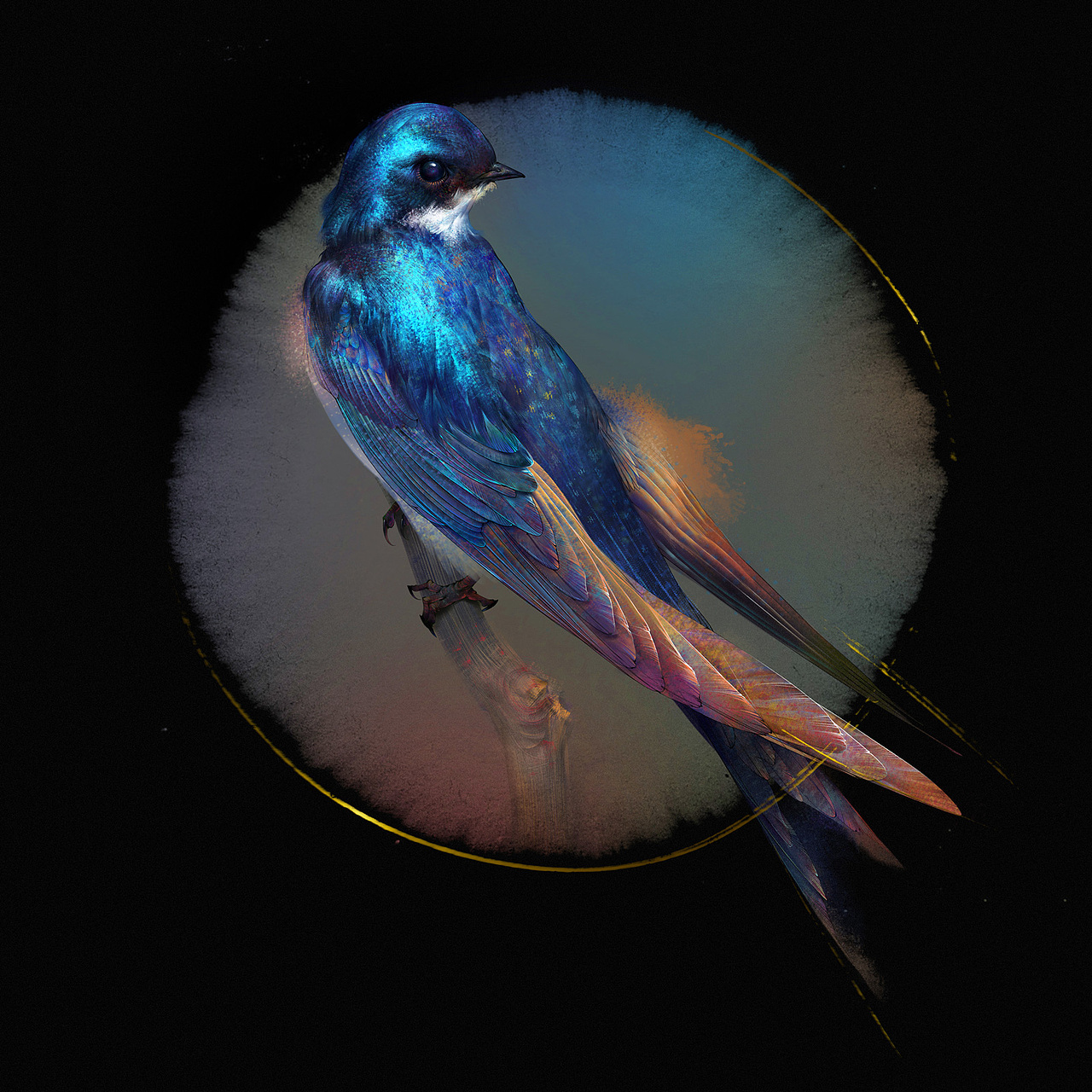 「鸟绘习作」 之二