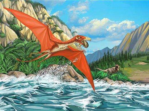 翼龍（個人主頁-ZMjc0MjIxNjQ=） - 商業(yè)插畫 - 站酷設(shè)計師茶茶茶虎原創(chuàng)素材 - 站酷ZCOOL