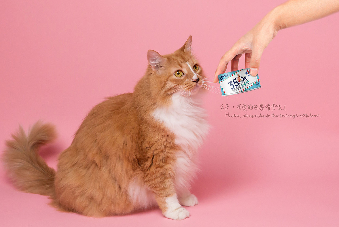 【猫酱·零食罐头】宠物食品包装（图ZMjk1Njg5MDQw） - 包装 - 站酷设计师Wein_Design原创素材 - 站酷ZCOOL