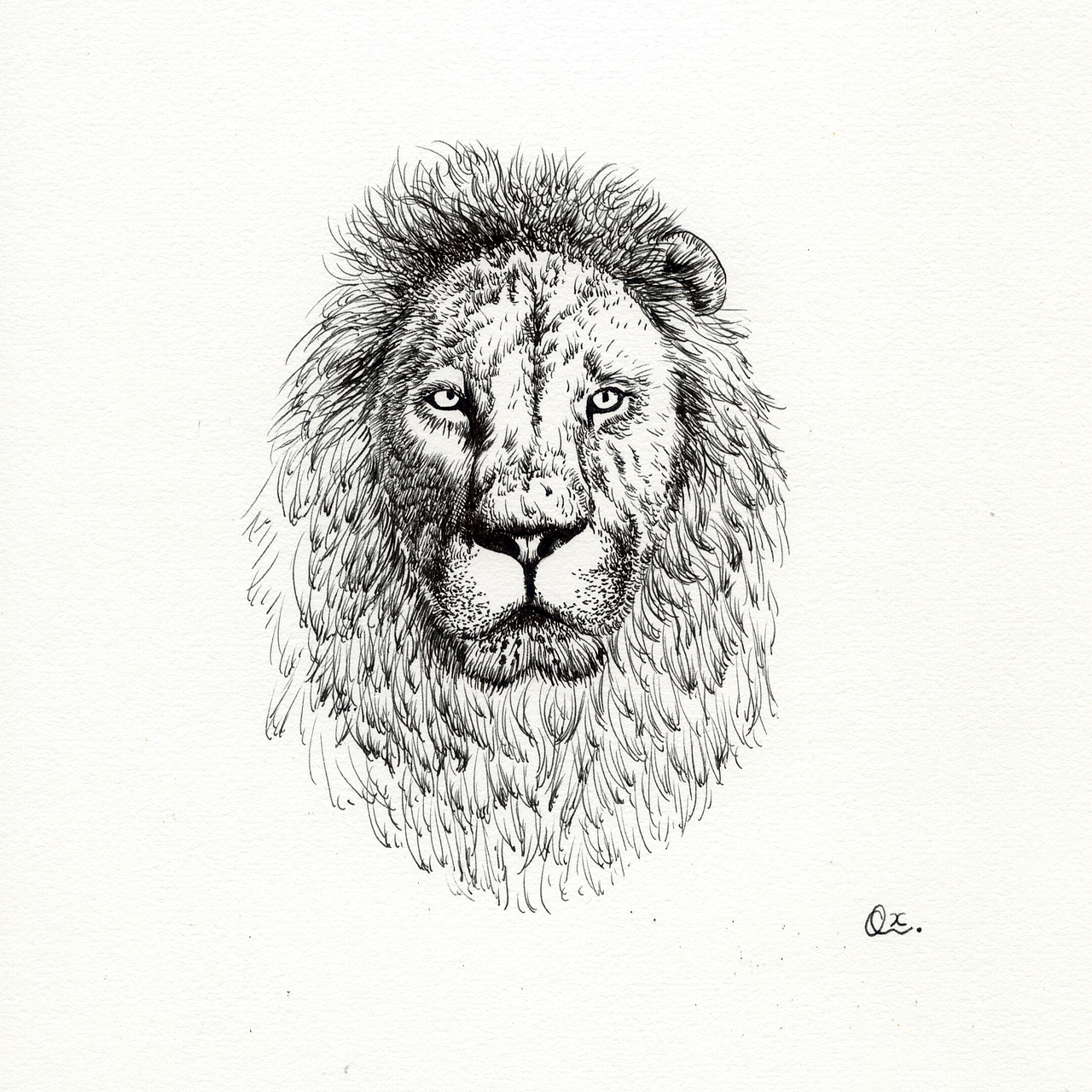 【动物肖像】系列